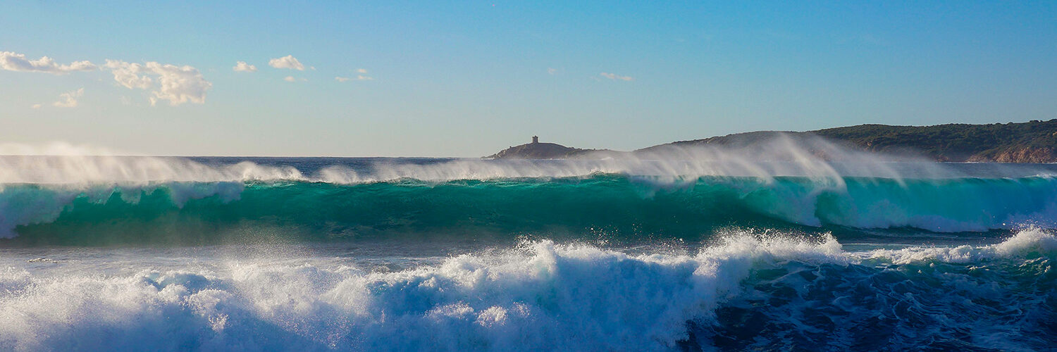 Tour d'Omigna - Cargèse